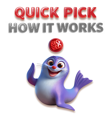 Quick Pick How It Works